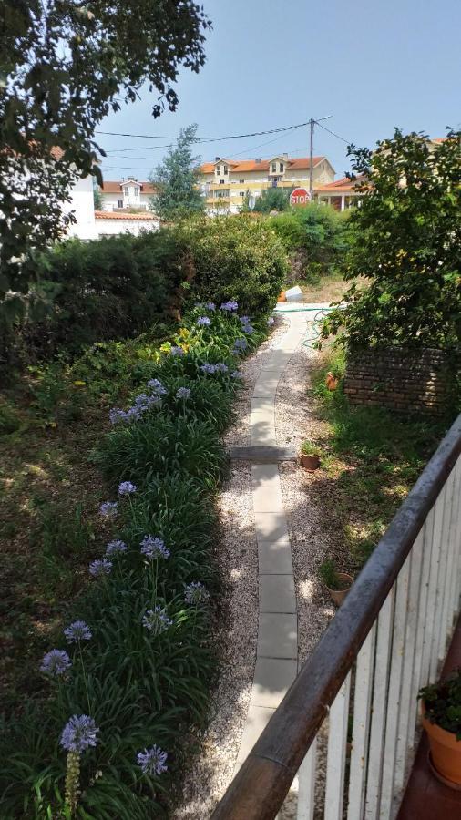 Vivenda Do Sobreiro Al Apartment Serpins Екстериор снимка