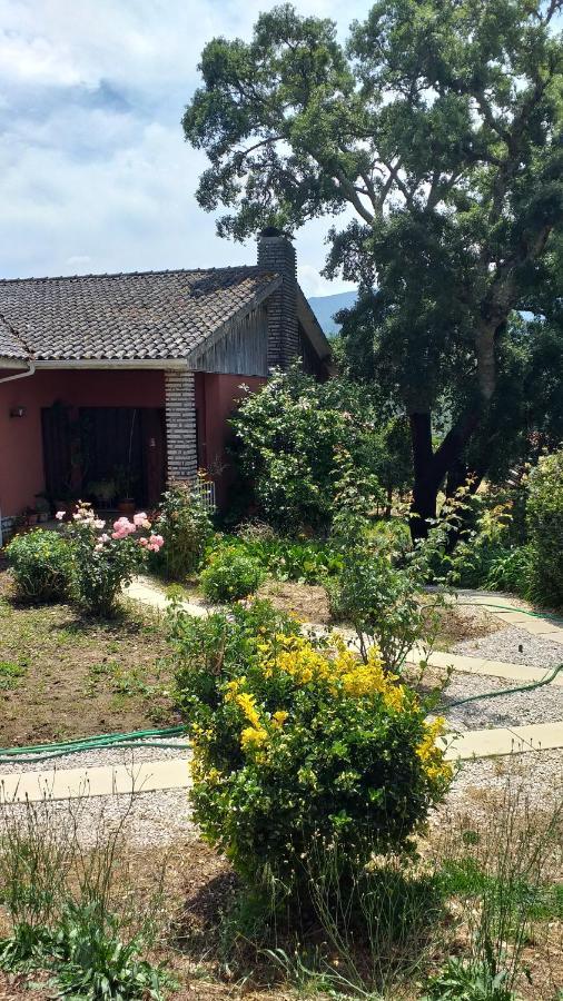Vivenda Do Sobreiro Al Apartment Serpins Екстериор снимка