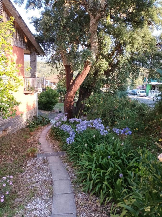 Vivenda Do Sobreiro Al Apartment Serpins Екстериор снимка