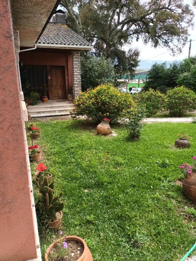 Vivenda Do Sobreiro Al Apartment Serpins Екстериор снимка